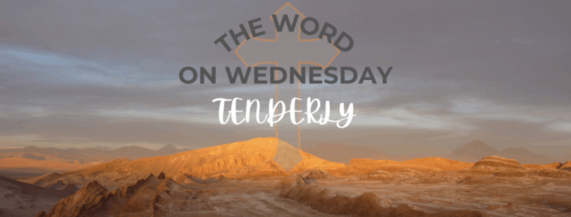 Tenderly