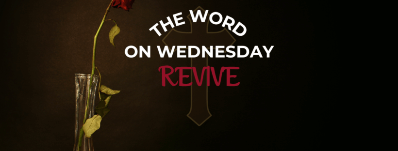 Revive