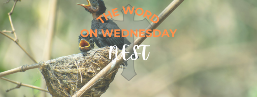 Nest