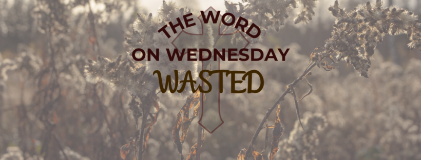 Wasted